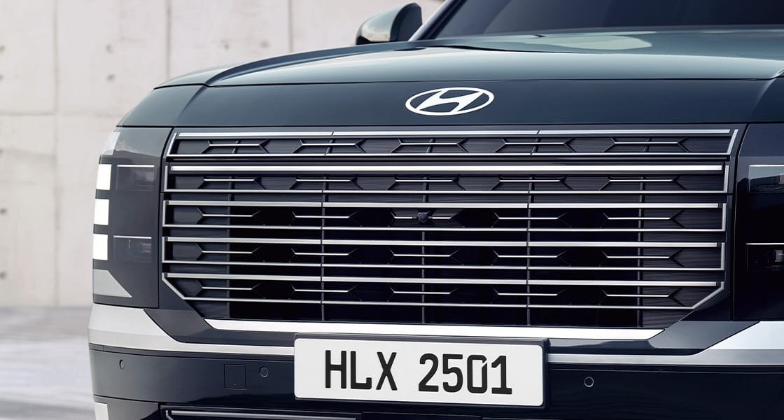 Hyundai PALISADE, Хромдалған радиатор торы